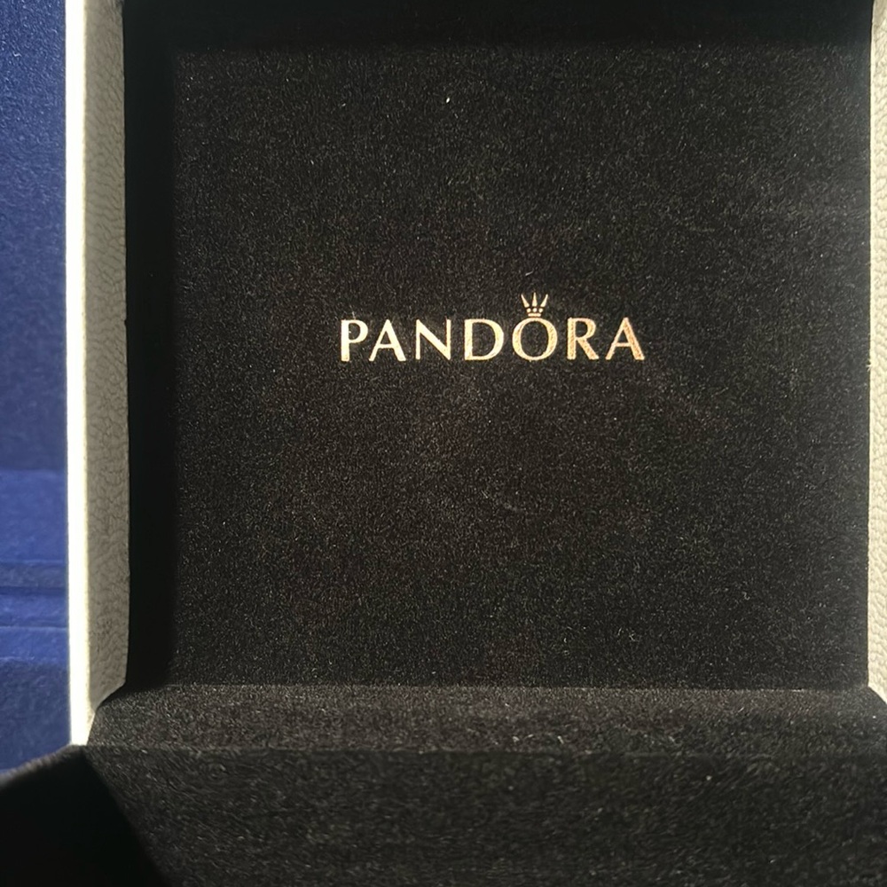 Pandora earrings and pendant